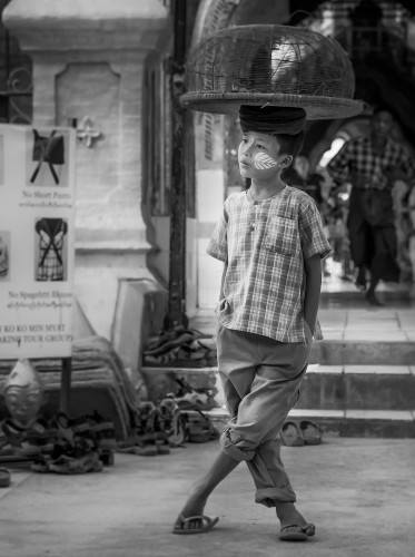 Boy with lucky birds in front of entrance of temple-Modifier
