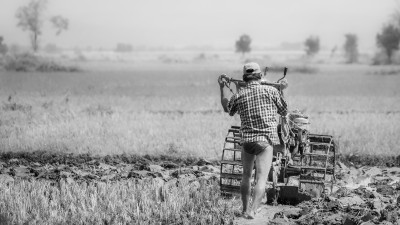Farmer works on his land_
