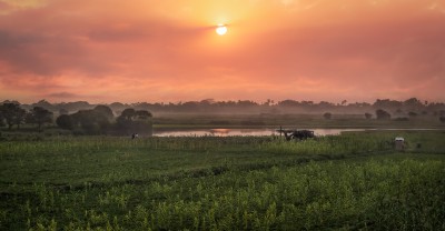 Sun Set from U Pain Bridge Mandalay-4505-